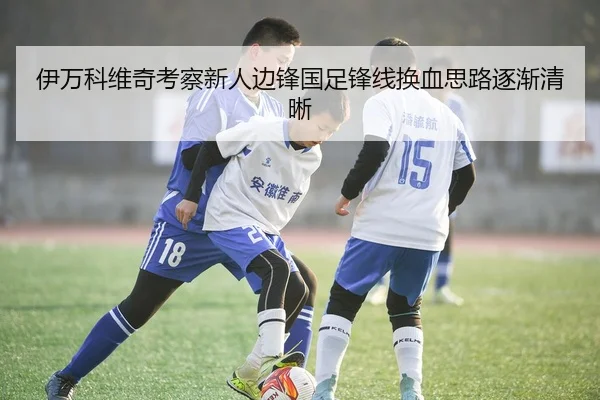 伊万科维奇考察新人边锋国足锋线换血思路逐渐清晰
